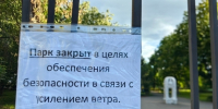 Мэр Саратова сообщил, что из-за сильного ветра в городе закроют для посетителей четыре парка - ИА Версия-Саратов