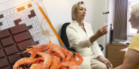 Врач рассказала о продуктах, которые помогают работе мозга | Источник: Мария Романова / Городские медиа - 76.Ru