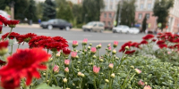 На Курскую область надвигается антициклон с субтропическим воздухом - Друг для Друга