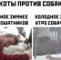 Смешные картинки и мемы про котов | Источник: Городские медиа - 29.Ru