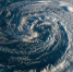 Фото: Triff/Shutterstock/Fotodom - Ямал-Медиа