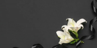 Фото: Pixel-Shot/Shutterstock/Fotodom - Ямал-Медиа