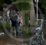 Полиция Сочи выясняет обстоятельства конфликта, попавшего на видео - Sochi24.tv