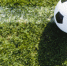 Футбольное поле за 5,5 млн рублей обустроят в селе на Ставрополье - ATVmedia.Ru