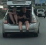 Во Владивостоке пьяная компания устроила тусовку в багажнике Toyota Prius - ГТРК Владивосток