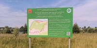 В Тверской области квадроциклы и эндуро катались по заповеднику - Афанасий-биржа