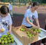 Ребята, кому яблоко? - Уфимские Ведомости