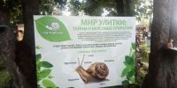 Александр Хинштейн посетил улиточную ферму в Фатежском районе Курской области - Курская правда