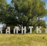 15.08.2026 | Виталий Королев гостям этнопраздника «Калитка»: Фестиваль служит сохранению связи времен и поколений. Напоминает, что наша страна – большой общий дом для многих народов - Правительство области
