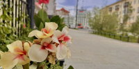 До +16: о погоде в Якутске в воскресенье - Якутское-Cаха ИА