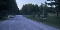 Под Новосибирском в ДТП погибла пассажирка «Хонды» - КП-Новосибирск