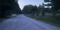 В Искитимском районе Новосибирской области произошло смертельное ДТП - Газета Красноярский рабочий
