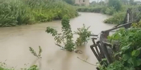 Фото: скриншот из видео | Ливни затопили дороги и дворы в нескольких районах Приморья - PrimPress.Ru