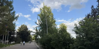 В Бугульме ожидается 12 градусов тепла - Бугульминская газета