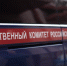 Следственный комитет России предупреждает подростков об ответственности за совершение противоправных действий - Следственный комитет