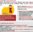 Профилактика орнитоза - Роспотребнадзор