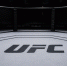 Мендес: Махачев сохранил пояс UFC и продолжил наследие Нурмагомедова - Газета Краснодарские известия