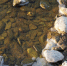 В Пуровском районе на реке Пур обнаружено тело мужчины - ГТРК Ямал