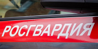 20 правонарушителей на территории Вологодской области задержали сотрудники вневедомственной охраны Росгвардии за минувшую неделю - Росгвардия