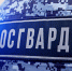 Вневедомственная охрана Росгвардии приглашает пензенцев на службу (видео) - Росгвардия
