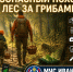 Безопасный поход в лес за грибами — простые правила, которые сохранят вам настроение и здоровье - МЧС