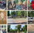 Что посмотреть: интересное за неделю от ИЦ «Балаковские вести» - Балаковские вести