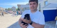 Поздравляем депутата ЧГСД, Председателя партийного проекта "Защита животного мира" Гребенкина Максима Николаевича с днем рождения - Единая Россия