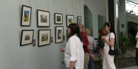 Выставка акварелей петербургской художницы открылась в Белгороде - Сетевое издание Победа 31