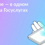 На портале госуслуг работают сервисы «жизненная ситуация» для восстановления и замены документов - Правительство Херсонской области