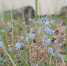 Прогноз погоды в Якутске на 17 августа - ИА SakhaTime