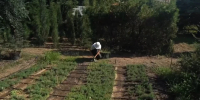 В Севастополе у школьных трудовых отрядов завершилась третья сменавидео - Комсомольская Правда