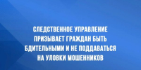 Следственное управление призывает граждан быть бдительными и не поддаваться на уловки мошенников - Балаковские вести