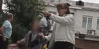 В Воткинске возбудили уголовное дело после нападения бездомной собаки на ребенка - Сусанин