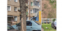 Сухое дерево убрано, парковочных мест стало больше: депутат СПРАВЕДЛИВОЙ РОССИИ помог жителям дома №10 по улице Кольцова - Справедливая Россия