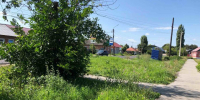 В зарослях некошеного бурьяна в Ельце притаилась свалка мусора! - Allelets.Ru