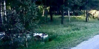 Под Новосибирском перевернулся седан Honda Accord, погибла женщина - Baikal24.Ru