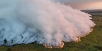 Кадр видео канала RTBF Info/www.youtube.com/watch?v=eDEK4SmmxLo - Ямал-Медиа