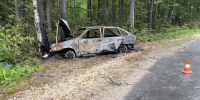 Легковушка сгорела после наезда на дерево в Навашинском округе - НИА Нижний Новгород
