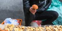 Некоторые грибы не только придадут вкус вашим блюдам, но и поделятся пользой | Источник: Артем Устюжанин / E1.RU - 161.Ru