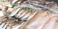raw-fish-market - ТРК Щелково