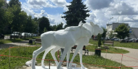 Калужанка помогла спасти старую городскую скульптуру - Телерадиокомпания Ника