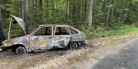 Легковушка влетела в дерево и загорелась в Нижегородской области - Комсомольская Правда