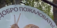 Александр Хинштейн посетил улиточную ферму в Фатежском районе Курской области - Городские Известия