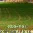 Остановить мгновение между летом и осенью - Город Ч.