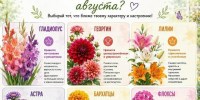 Какой твой любимый цветок августа? - Центр соцобслуживания населения
