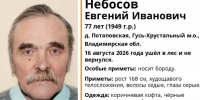 В лесах Гусь-Хрустального района пропал человек - PRO Город Владимир