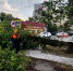 Сильный ветер повалил дерево на улице Подтелкова - Bloknot-Morozovsk.Ru