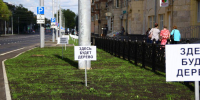 В Новокузнецке на улице Циолковского пока не будут высаживать новые деревья взамен спиленных - ИА Город Новостей