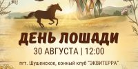 День лошади - Shushenskoe.Info