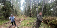 «Чёрный лесоруб» в Бурятии спилил лес на 14,5 млн рублей и продал его за 200 тысячи рублей - ВостокТелеИнформ